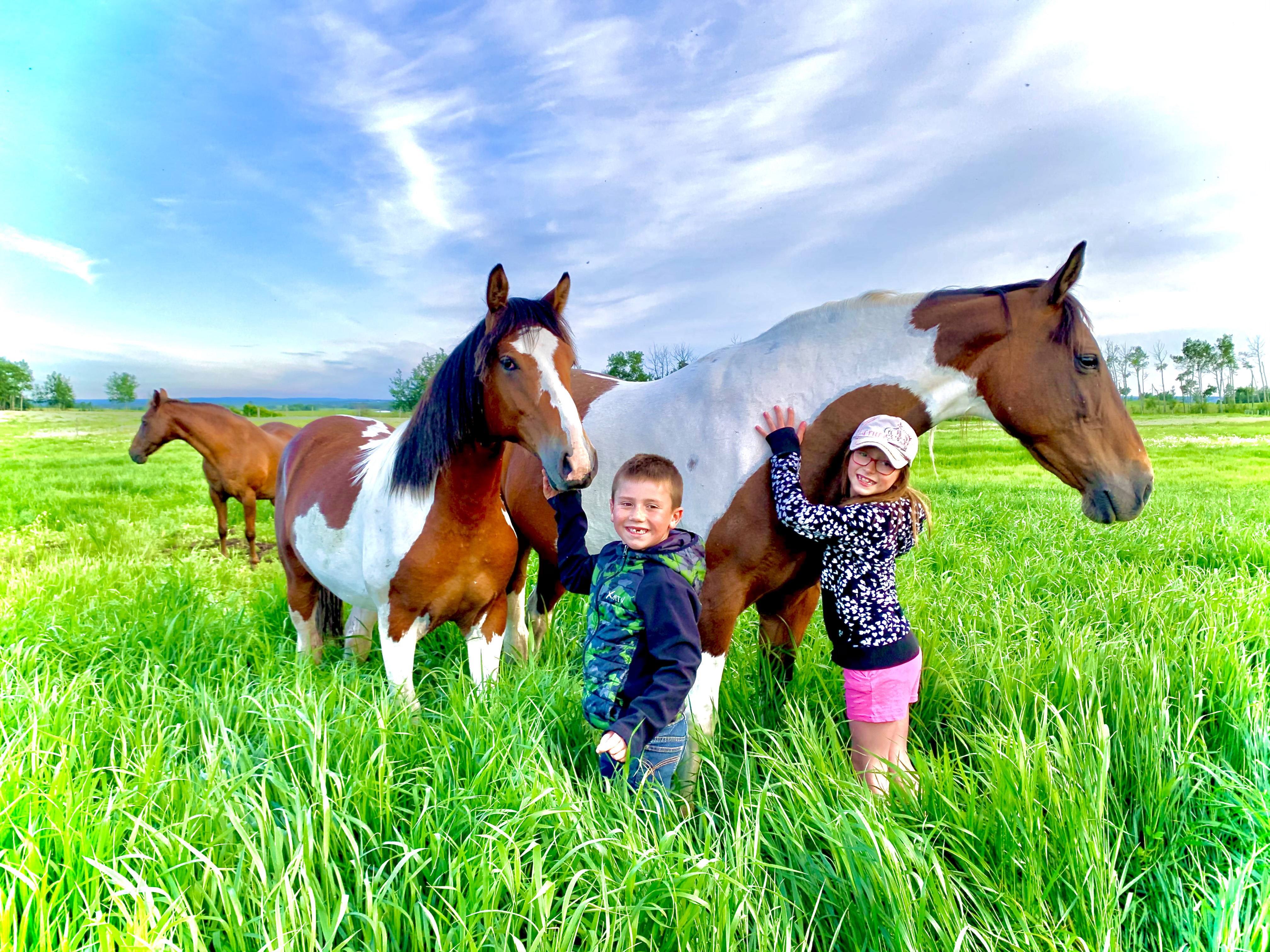 kids and horses